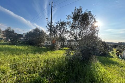 Helårsgrund i Tomar, Santarem, Tomar - € 37.500 | Ref: 01445-25 - foto 9