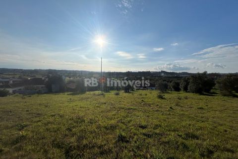 Helårsgrund i Tomar, Santarem, Tomar - € 37.500 | Ref: 01445-25 - foto 11