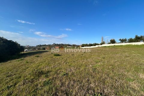Helårsgrund i Tomar, Santarem, Tomar - € 37.500 | Ref: 01445-25 - foto 12