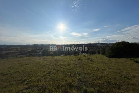 Helårsgrund i Tomar, Santarem, Tomar - € 37.500 | Ref: 01445-25 - foto 14