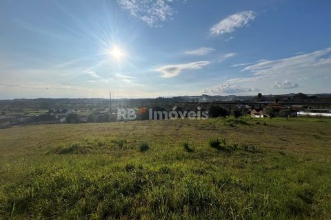 Helårsgrund i Tomar, Santarem, Tomar - € 37.500 | Ref: 01445-25 - foto 15