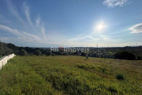Helårsgrund i Tomar, Santarem, Tomar - € 37.500 | Ref: 01445-25 - foto 16