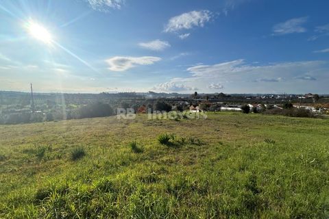 Helårsgrund i Tomar, Santarem, Tomar - € 37.500 | Ref: 01445-25 - foto 17