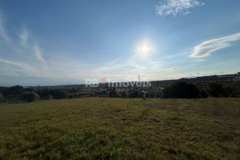 Helårsgrund i Tomar, Santarem, Tomar - € 37.500 | Ref: 01445-25 - foto 18