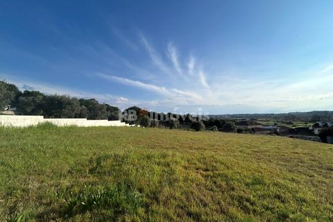 Helårsgrund i Tomar, Santarem, Tomar - € 37.500 | Ref: 01445-25 - foto 19