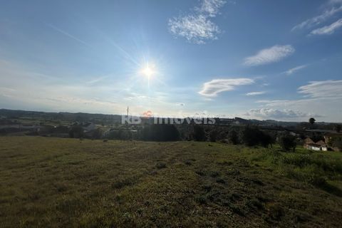 Helårsgrund i Tomar, Santarem, Tomar - € 37.500 | Ref: 01445-25 - foto 20