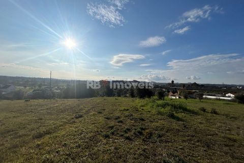 Helårsgrund i Tomar, Santarem, Tomar - € 37.500 | Ref: 01445-25 - foto 21