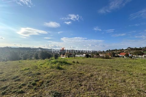 Helårsgrund i Tomar, Santarem, Tomar - € 37.500 | Ref: 01445-25 - foto 22
