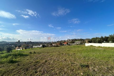 Helårsgrund i Tomar, Santarem, Tomar - € 37.500 | Ref: 01445-25 - foto 23