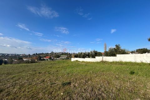Helårsgrund i Tomar, Santarem, Tomar - € 37.500 | Ref: 01445-25 - foto 24