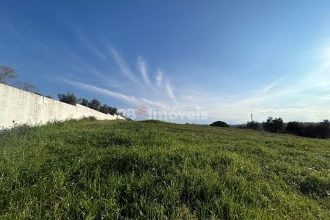 Helårsgrund i Tomar, Santarem, Tomar - € 37.500 | Ref: 01445-25 - foto 25