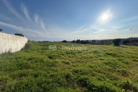 Helårsgrund i Tomar, Santarem, Tomar - € 37.500 | Ref: 01445-25 - foto 26