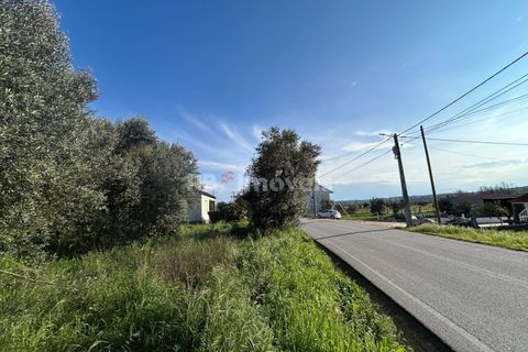 Helårsgrund i Tomar, Santarem, Tomar - € 37.500 | Ref: 01445-25 - foto 27