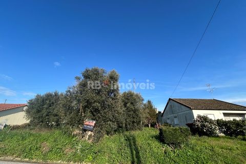 Helårsgrund i Tomar, Santarem, Tomar - € 37.500 | Ref: 01445-25 - foto 28