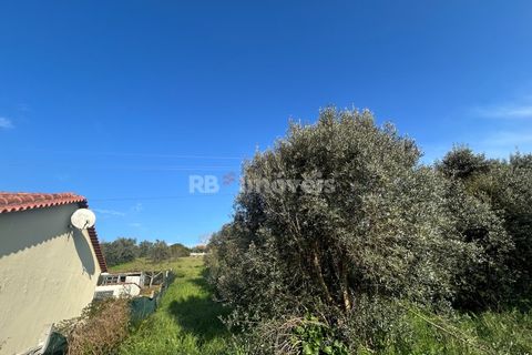 Helårsgrund i Tomar, Santarem, Tomar - € 37.500 | Ref: 01445-25 - foto 29