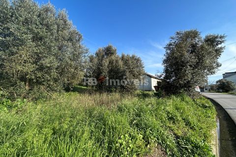 Helårsgrund i Tomar, Santarem, Tomar - € 37.500 | Ref: 01445-25 - foto 30