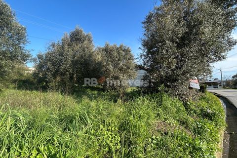Helårsgrund i Tomar, Santarem, Tomar - € 37.500 | Ref: 01445-25 - foto 31