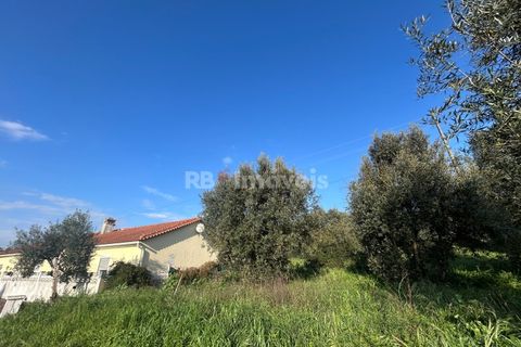 Helårsgrund i Tomar, Santarem, Tomar - € 37.500 | Ref: 01445-25 - foto 32