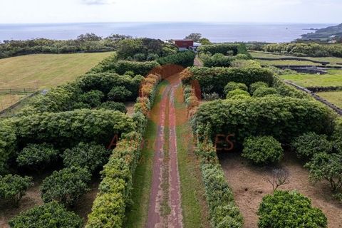 Byhus i Angra do Heroismo, Terceira, Angra do Heroismo - € 1.600.000 | Ref: M996 - foto 2