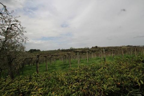 Farm hus i Peccioli, Pisa, Peccioli - € 350.000 | Ref: a1190rc22594 - foto 2