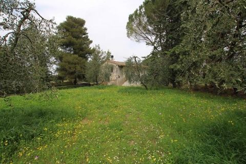 Farm hus i Peccioli, Pisa, Peccioli - € 350.000 | Ref: a1190rc22594 - foto 4