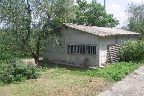 Farm hus i Peccioli, Pisa, Peccioli - € 350.000 | Ref: a1190rc22594 - foto 8