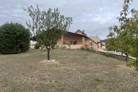 Farm i Montecchio, Terni, Montecchio - € 900.000 | Ref: AZ216 - foto 2