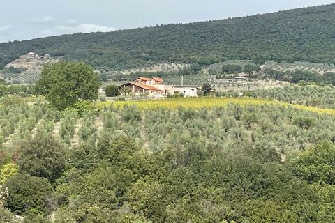 Farm i Montecchio, Terni, Montecchio - € 900.000 | Ref: AZ216 - foto 4