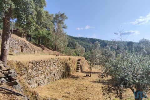 Terra a Serta, Castelo Branco, Serta - € 45.000 | Ref: 144822 - foto 2