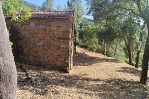 Terra a Serta, Castelo Branco, Serta - € 45.000 | Ref: 144822 - foto 3