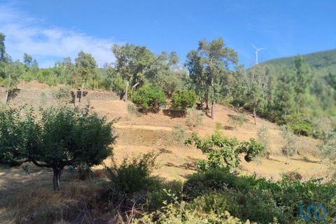 Terra a Serta, Castelo Branco, Serta - € 45.000 | Ref: 144822 - foto 4