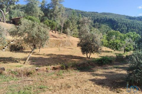 Terra a Serta, Castelo Branco, Serta - € 45.000 | Ref: 144822 - foto 5