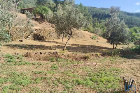 Terra a Serta, Castelo Branco, Serta - € 45.000 | Ref: 144822 - foto 6