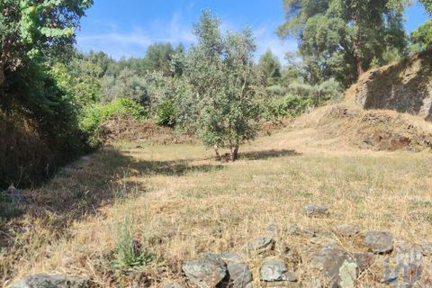 Terra a Serta, Castelo Branco, Serta - € 45.000 | Ref: 144822 - foto 7
