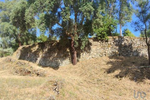 Terra a Serta, Castelo Branco, Serta - € 45.000 | Ref: 144822 - foto 8