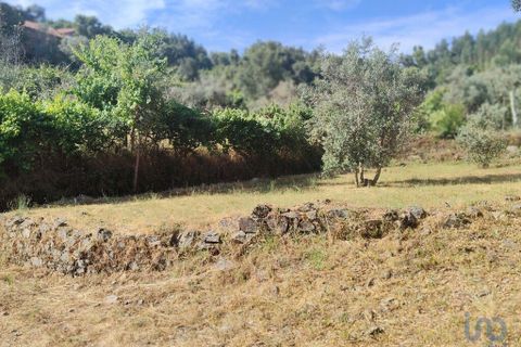 Terra a Serta, Castelo Branco, Serta - € 45.000 | Ref: 144822 - foto 9
