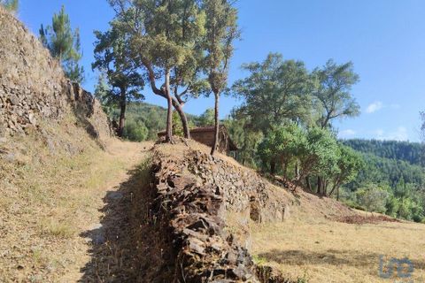 Terra a Serta, Castelo Branco, Serta - € 45.000 | Ref: 144822 - foto 10