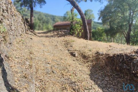 Terra a Serta, Castelo Branco, Serta - € 45.000 | Ref: 144822 - foto 11