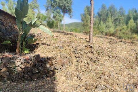 Terra a Serta, Castelo Branco, Serta - € 45.000 | Ref: 144822 - foto 12