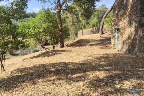 Terra a Serta, Castelo Branco, Serta - € 45.000 | Ref: 144822 - foto 14