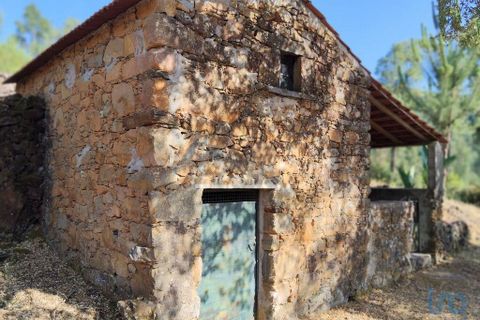 Terra a Serta, Castelo Branco, Serta - € 45.000 | Ref: 144822 - foto 15