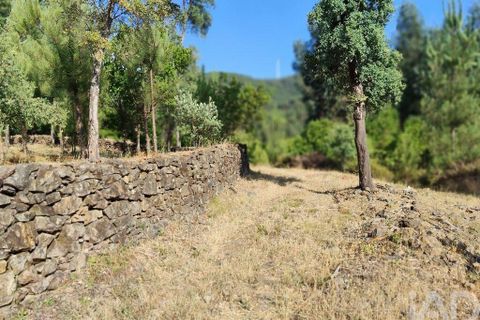 Terra a Serta, Castelo Branco, Serta - € 45.000 | Ref: 144822 - foto 21