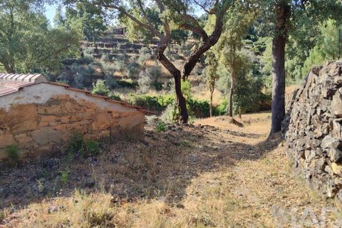 Terra a Serta, Castelo Branco, Serta - € 45.000 | Ref: 144822 - foto 22