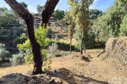 Terra a Serta, Castelo Branco, Serta - € 45.000 | Ref: 144822 - foto 23
