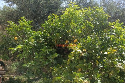 Villa i Ragusa, Ragusa, Ragusa - € 410.000 | Ref: 2 - foto 32