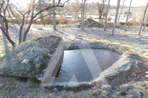 Farm i Santar e Moreira, Viseu, Santar e Moreira - € 125.000 | Ref: 1180561/25VS - foto 4