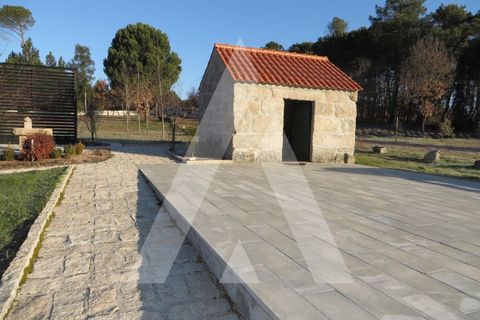 Farm i Santar e Moreira, Viseu, Santar e Moreira - € 125.000 | Ref: 1180561/25VS - foto 1