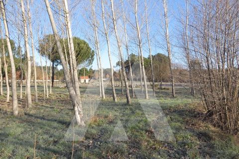 Farm i Santar e Moreira, Viseu, Santar e Moreira - € 125.000 | Ref: 1180561/25VS - foto 7