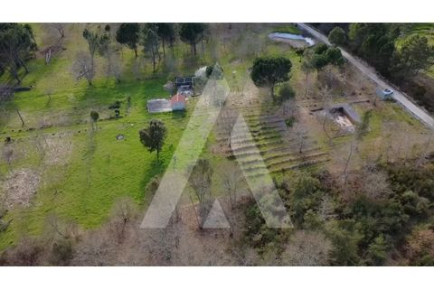 Farm i Santar e Moreira, Viseu, Santar e Moreira - € 125.000 | Ref: 1180561/25VS - foto 2