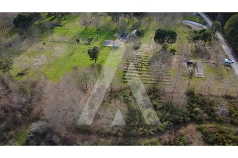 Farm i Santar e Moreira, Viseu, Santar e Moreira - € 125.000 | Ref: 1180561/25VS - foto 8